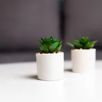 Zen 6